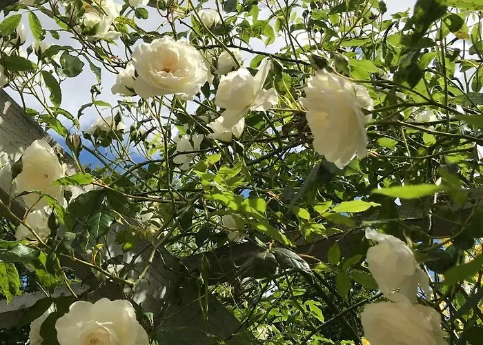 Apartmán Hus Ved Skov Ejby (Middelfart)